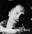 [David P. Kelly Biography]